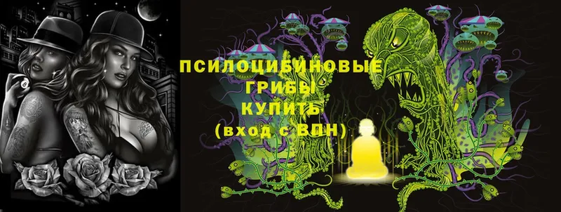 Галлюциногенные грибы Magic Shrooms  hydra онион  Чегем 